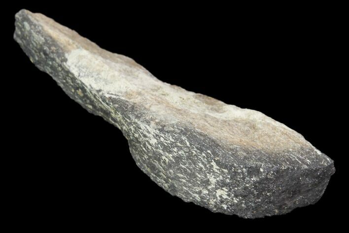 Hadrosaur Bone Fragment - Montana #103183